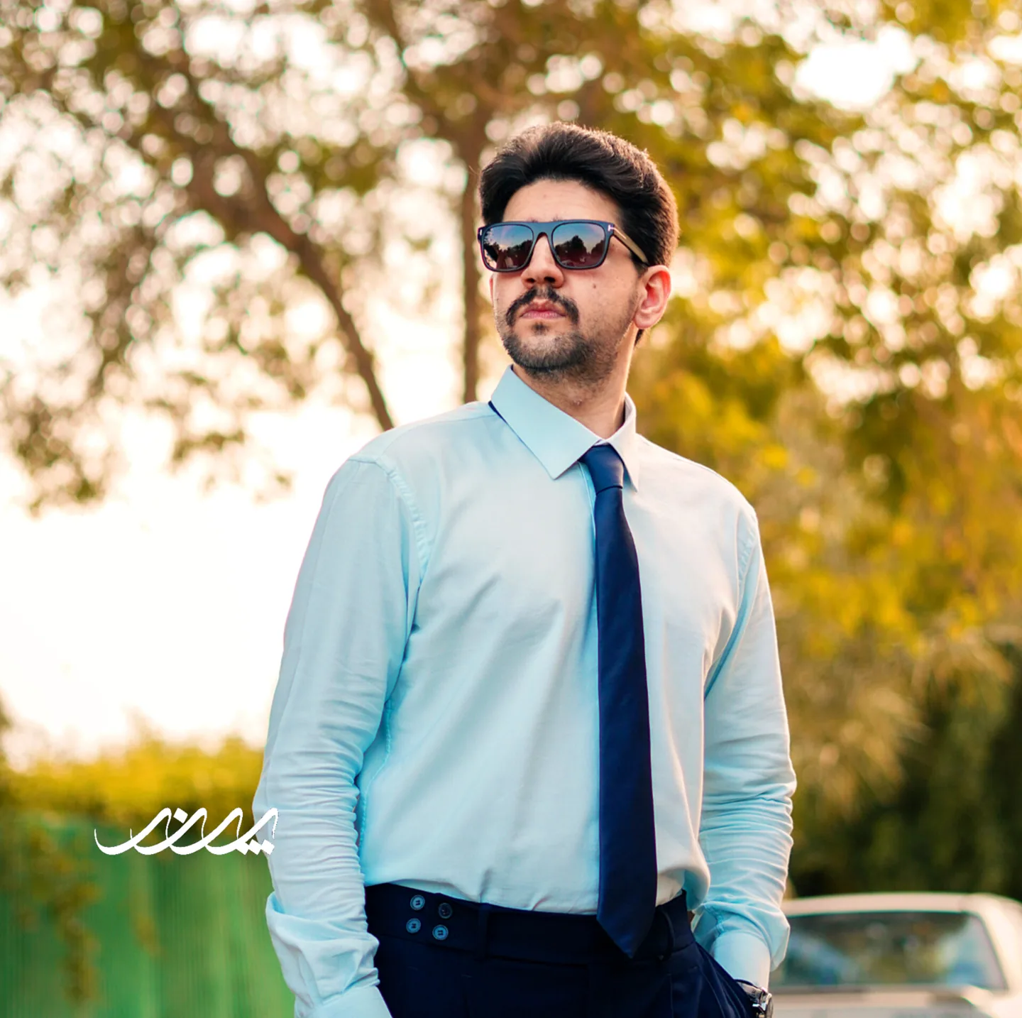 حامد رافعی